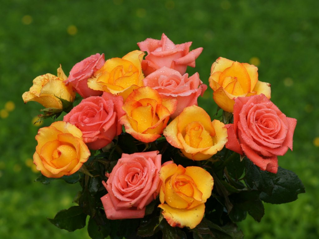 دعای مشکل گشا