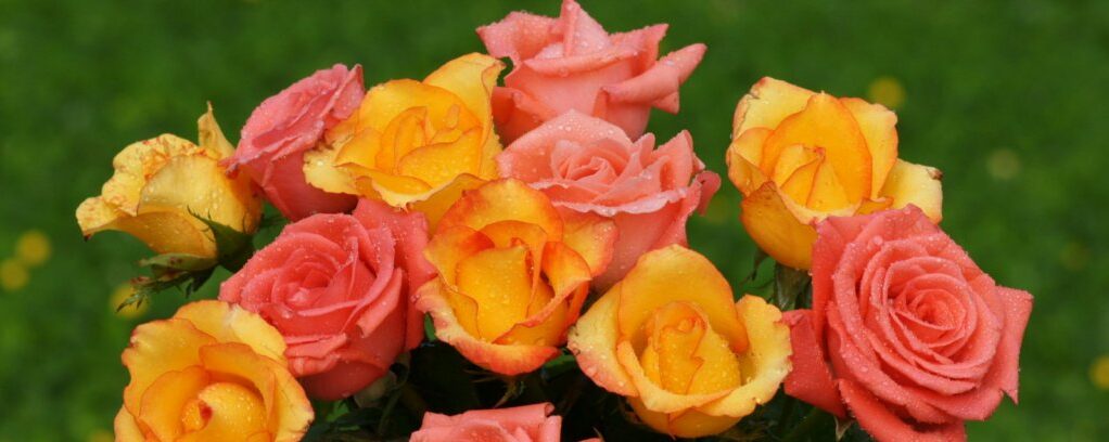 دعای مشکل گشا